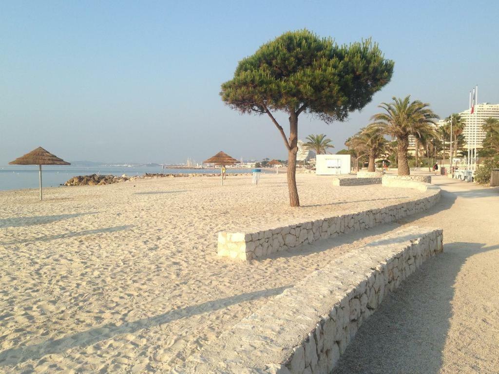 Bel Appartement Les Pieds Dans L'Eau Villeneuve-Loubet Exterior foto